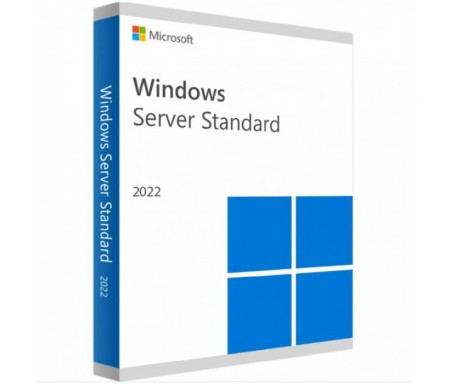 MICROSOFT WINDOWS SERVER STANDARD 2022 OEM 1PK DSP (P73-08329)