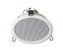 Haut Parleur Plafond