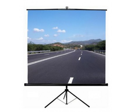 Ecran Trepied SCREEN 180x180