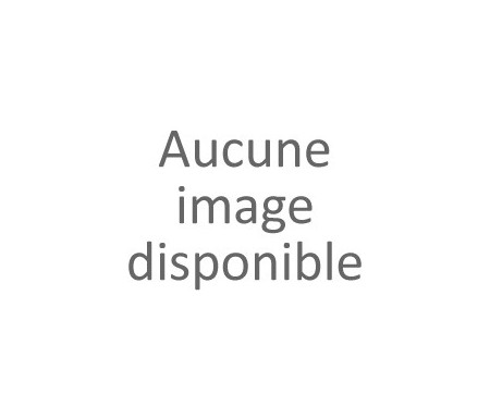 Sabot Metalique
